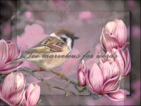 Joni James  - Too Marvelous For Words  (With Lyrics)