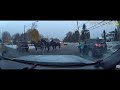 Four Horses Break Loose Cause Total Chaos In Rush Hour Traffic