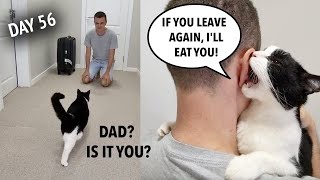 Dad Came Back 1,5 Month Later. Cat's Reaction. by CatPusic 2,586,604 views 6 months ago 4 minutes, 38 seconds