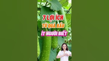 7 Lợi Ích Từ Quả Bầu Ít Người Biết #dsdaiminh #health #shorts #dinhduong