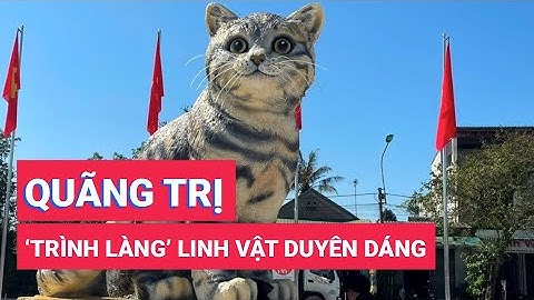 Linh vật mèo duyên dáng nhất xuân Quý Mão 2023 chính thức 