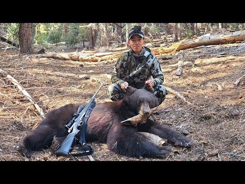 Video: Brown bears: zoo-nature stalkers thiab rods txaus ntshai