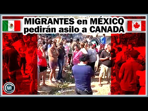 Migrantes varados en México pedirán asilo al Gobierno de Canadá