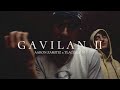 Gavilan ii  oficial  aarn zamitiz x tlacuilo jr  az records 2024