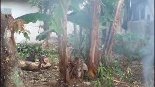 dongeng mang jaya rame nini kalingking ke 46