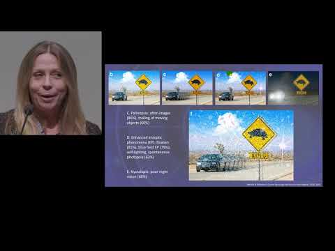 A/Prof Joanne Fielding: "Visual Snow: what we know and don&rsquo;t know"