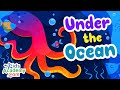 Ocean Zones and Their Inhabitants