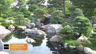 Take a tour of the Charlotte Partridge Ordway Japanese Garden in Como Park