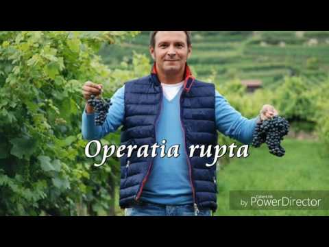 Daniel Buzdugan - Farsă - Operația ruptă