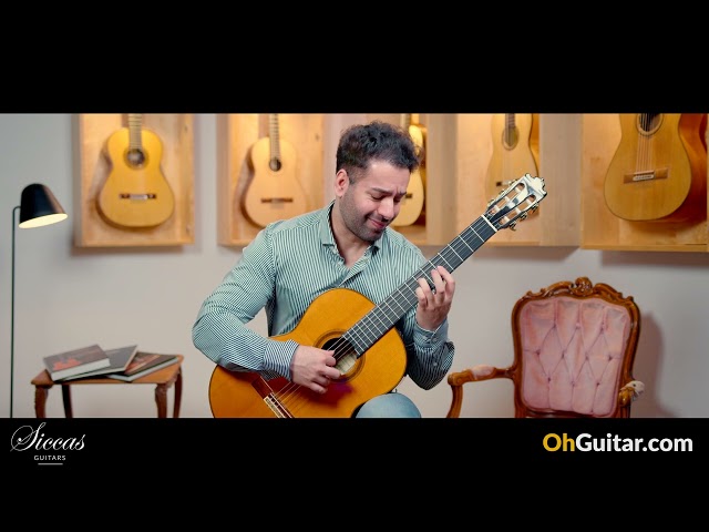 Paulino Bernabe 1984 66 cm Classical Guitar Review