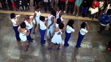 Zeta Phi Beta Pi Epsilon Chapter Spring 2014 Probate University of Tennessee Knoxville