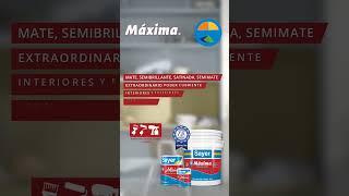 Pintura Máxima 100% acrílica ideal para interiores y exteriores ¡opción a más de 6000 colores!