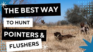 The Best Way To Hunt A Pointing Dog With A Flusher