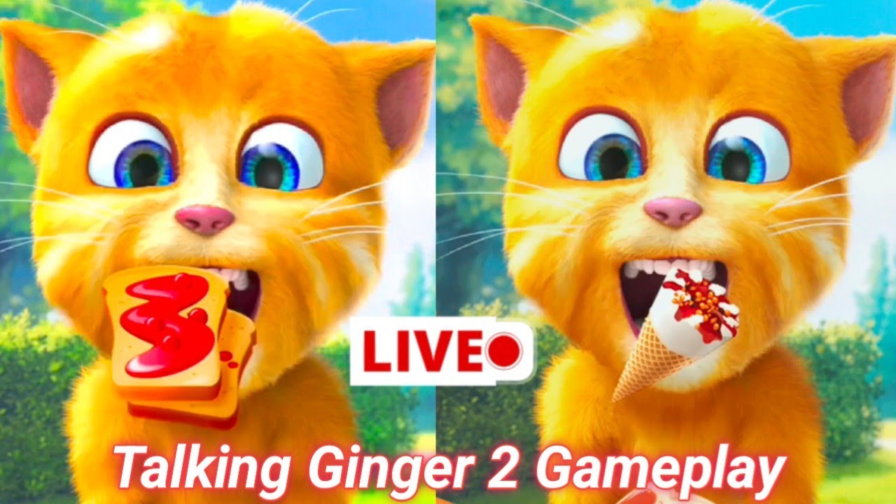 Ginger Stream Talking Ginger 2 Gameplay | Live Streaming | - YouTube