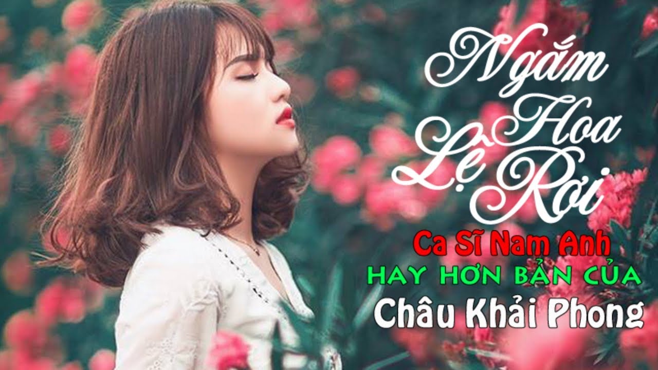 Việt Mix Ngắm Hoa Lệ Rơi Remix - Liên Khúc Nhạc Trẻ Remix Hay Nhất 5 2018 - Nonstop Nhạc DJ