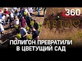 Цветущий сад на склонах рекультивированного полигона в честь Дня эколога в Долгопрудном