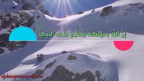 اجمل حالة واتس اب قرآن كريم للقارئ الشيخ صلاح بو خاطر part1 7
