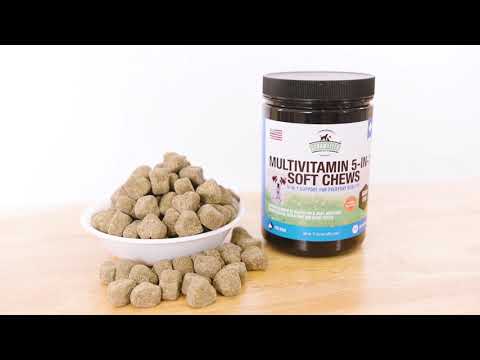 5-in1 Multivitamin Soft Chews - Strawfield Pets