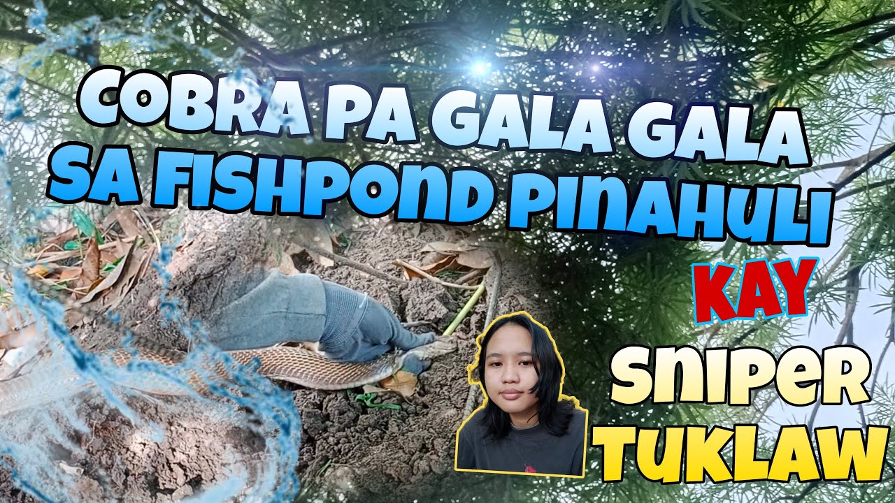 COBRA PA GALA GALA SA FISHPOND PINAHULI KAY SNIPER TUKLAW 