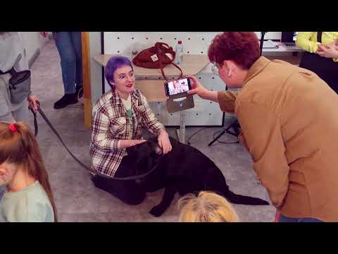 Собака - помощник психолога.