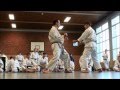 ANDRE BERTEL: DEUTSCHLAND / GERMANY KARATE SEMINAR (2012)