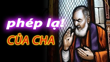 ✨ 14 Phép lạ của Cha Thánh Pio Năm Dấu - St. Padre Pio