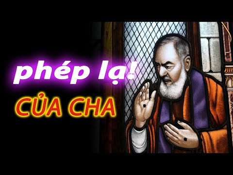 Video: 14 Điều Hàng đầu Nên Làm trên Đảo Nam Padre