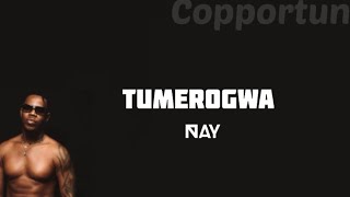 Ney Wa Mitego - Tumerogwa (Lyrics cop)