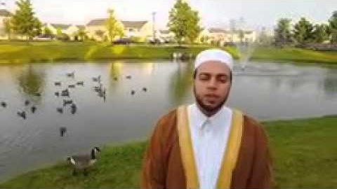 سبحان الله طيور في أمريكا تجتمع لتسمع القرآن   القارئ محمود الدميري