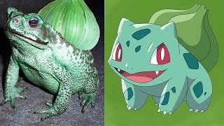 10 POKEMONS QUE EXISTEN EN LA VIDA REAL | YAYIXD TOPS