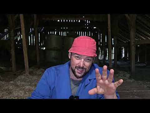 6 Jahre Volksschule und das Atomkraftwerk