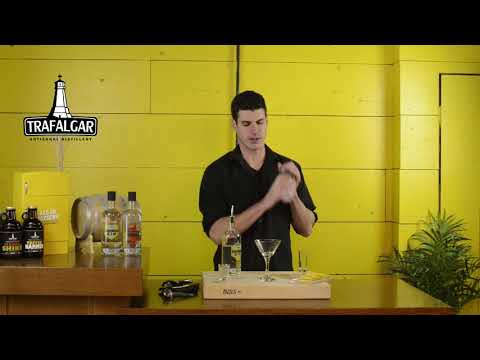 trafalgar-wild-botanical-honey-gin-martini