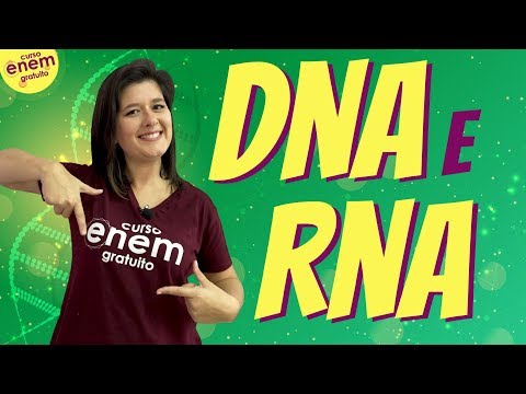 Vídeo: O que DNA e RNA têm em quizlet comum?