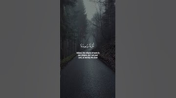 تلاوة خاشعة بصوت جميل القارئ بلال دربالي #القرآن_الكريم #تلاوات #حالات #صوت_جميل #القارئ #قرآن
