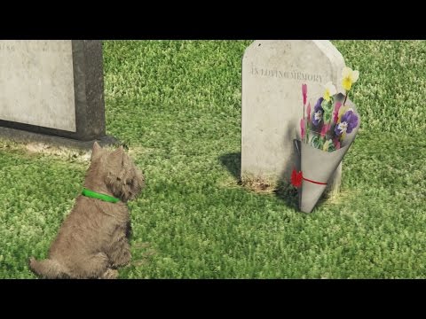 Dog goes To Owners Grave | GTA 5 Easter Eggs