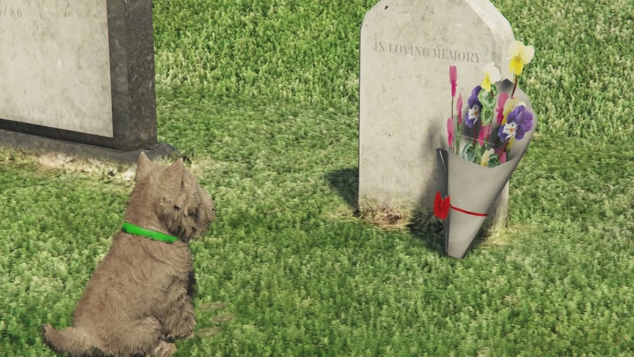 gta v dog visits owner's grave