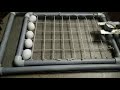 Incubator tray home made using pvc pipe