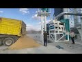#uzbekistan  #tahıl kurutma makinaları #graindryer  #pre-cleaner #paddydryer  #elevator  #dryer