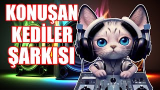 Konuşan Kediler Şarkısı - 500 Bin Abone Özel by Pati TV 49,647 views 7 months ago 2 minutes, 7 seconds