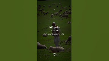 #جمعة_مباركة #جمعہ_مبارک #يوم_الجمعة #quran #القرآن_الكريم #سورة_الكهف ☝️☝️ #علاء_عقل #quran