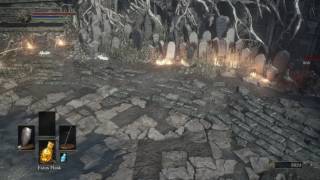 Dark Souls 3 - Sirris And Yuria Vs Hawkwood And Leonhard