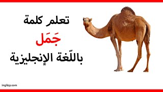 جمل باللغة الإنجليزية l سلسلة أسماء الحيوانات بالإنجليزية