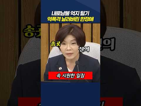 야당의 내로남불 억지 털기 역폭격 날려버린 한정애
