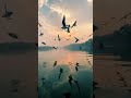Atak Gaya Song & Badhai Do Status by Arijit 🎶