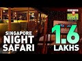 SINGAPORE NIGHT SAFARI | Explore Singapore | Travel Guide