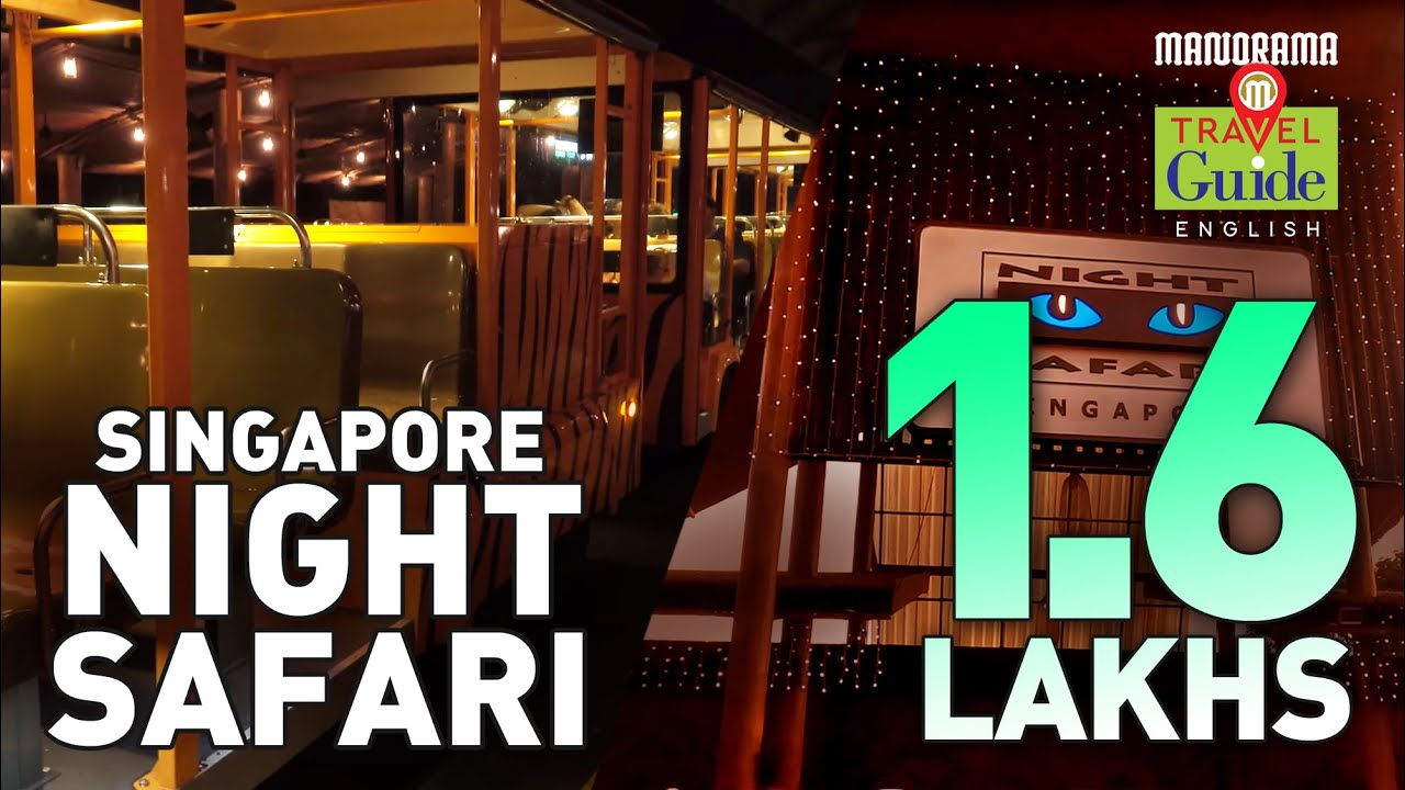 Singapore Travel Guide Tourist Places Night Safari Tourist Places