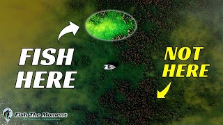Avoid This Common Grass Fishing Mistake | #Catch15 Bass Fishing Challenge screenshot 5