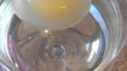 Disappearing Eggshell