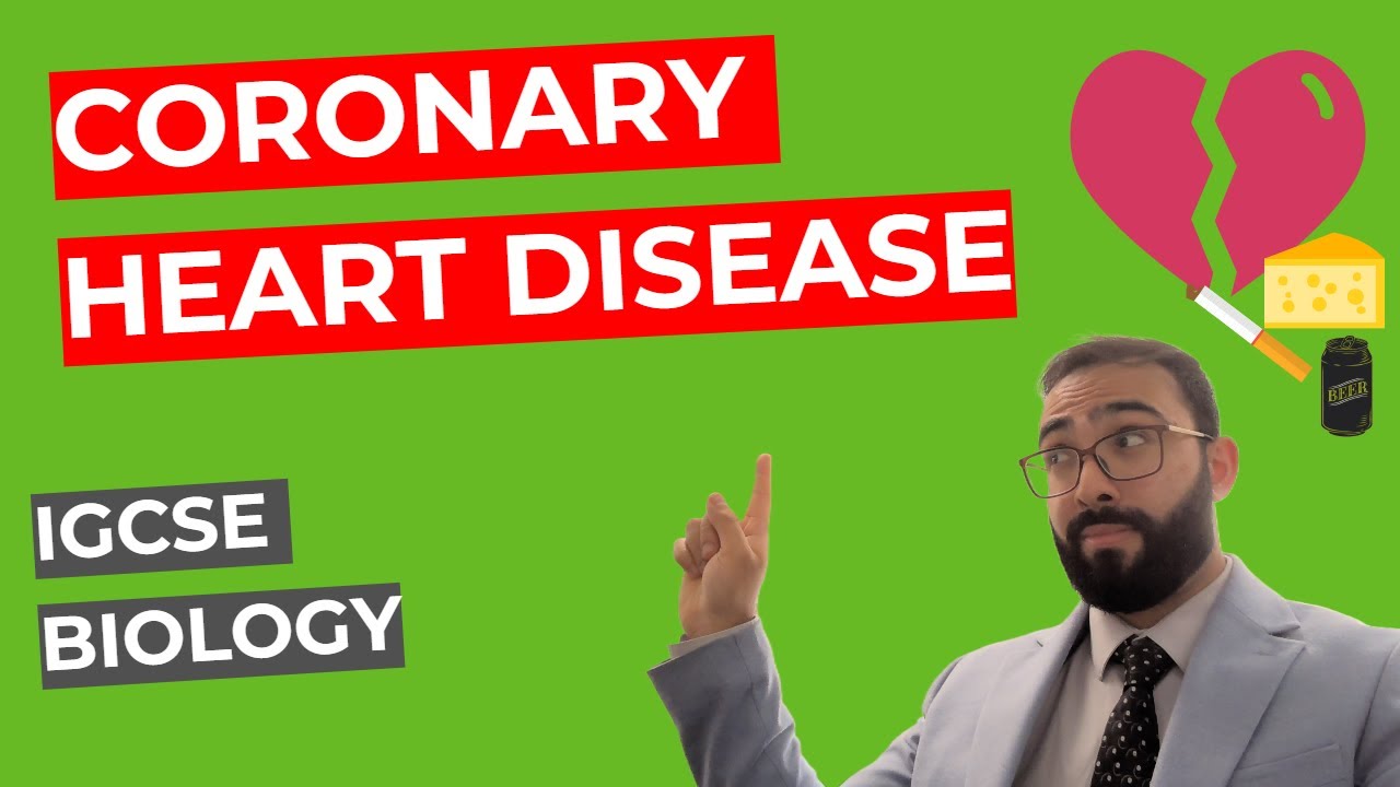 Coronary Heart Disease + Exam Q | IGCSE Edexcel Biology - YouTube