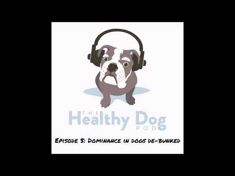 Episode 5: Dominance in Dogs De-Bunked
